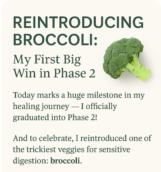 Reintroducing Broccoli: My First Big Win in Phase 2&nbsp;🌱✨